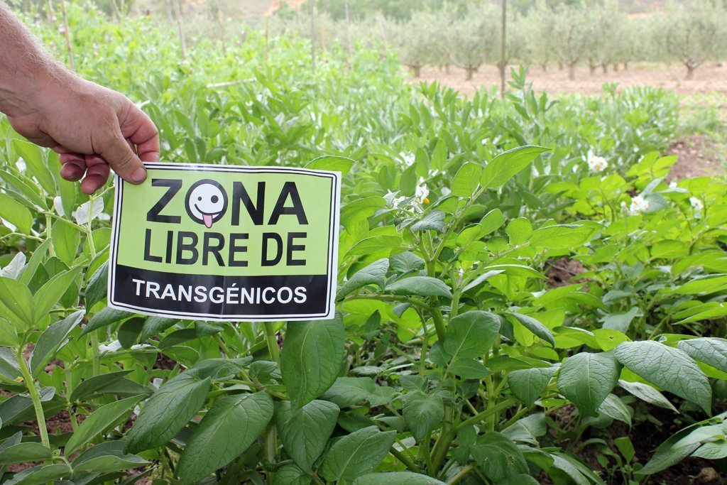 zona-libre-de-ogm4